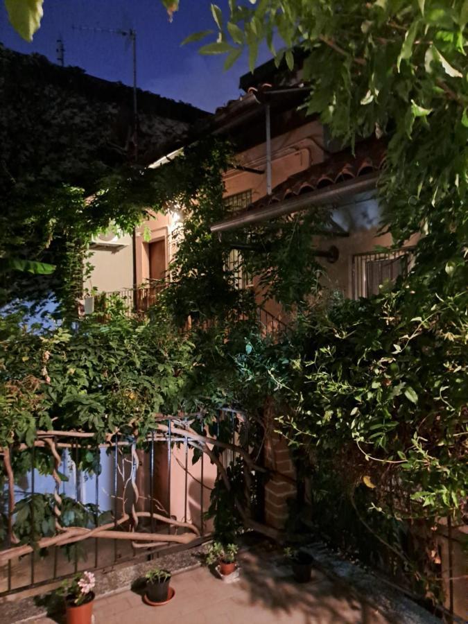 Musa Paradisiaca 토리노 외부 사진
