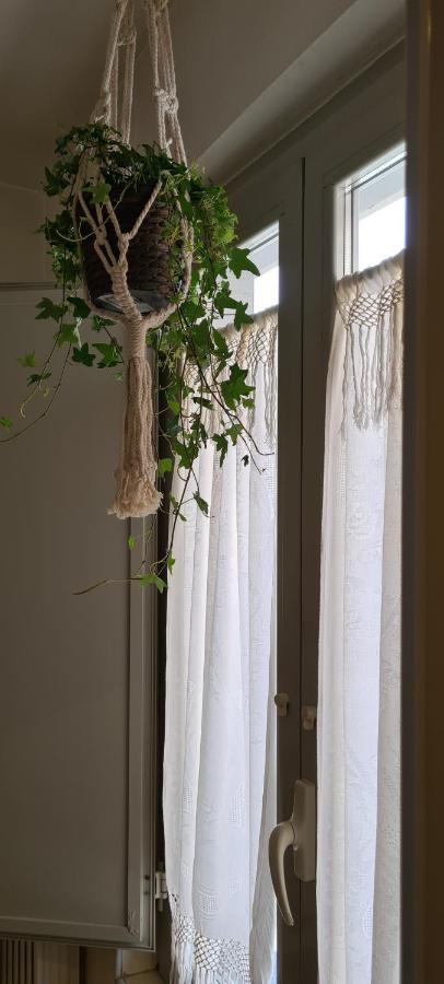Musa Paradisiaca 토리노 외부 사진