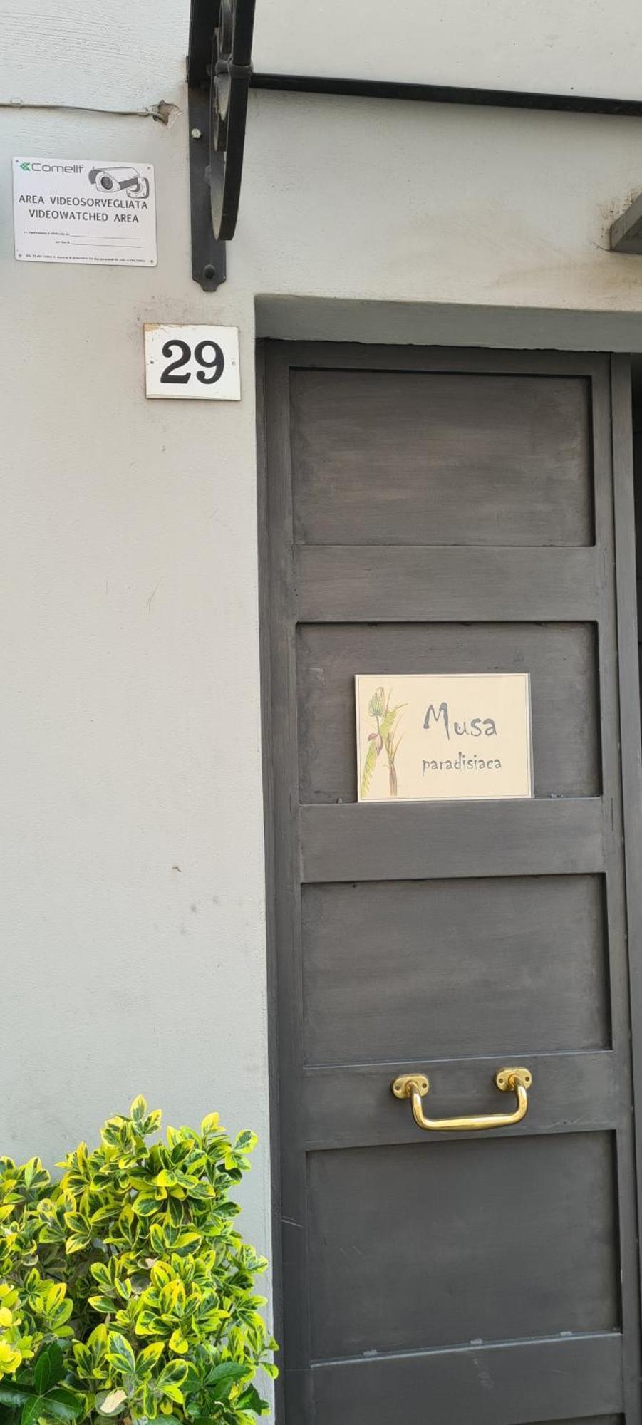 Musa Paradisiaca 토리노 객실 사진